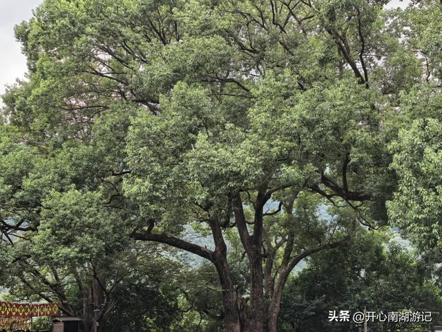 2025年秋老姐俩江西行，去篁岭看晒秋