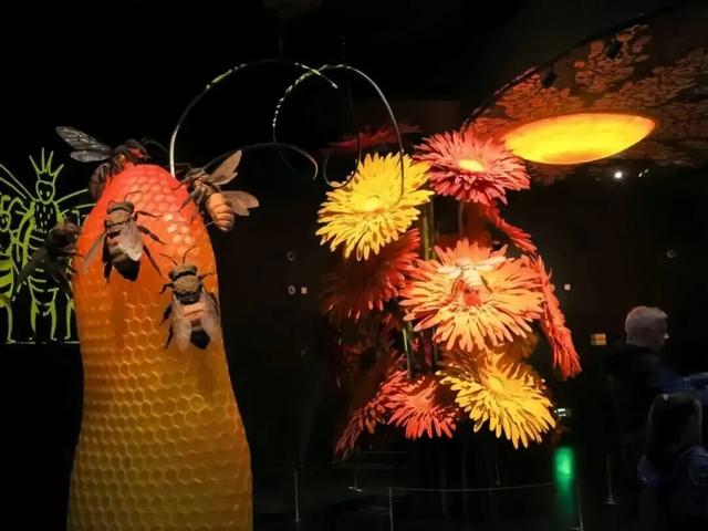 获吉尼斯世界纪录！最大蜜蜂主题馆就在昌平