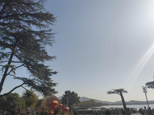 碧云天，黄叶地。秋色连波，波上寒烟翠一一玄武湖银杏迟