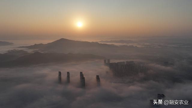 广西融安：云雾缭绕 美景如画