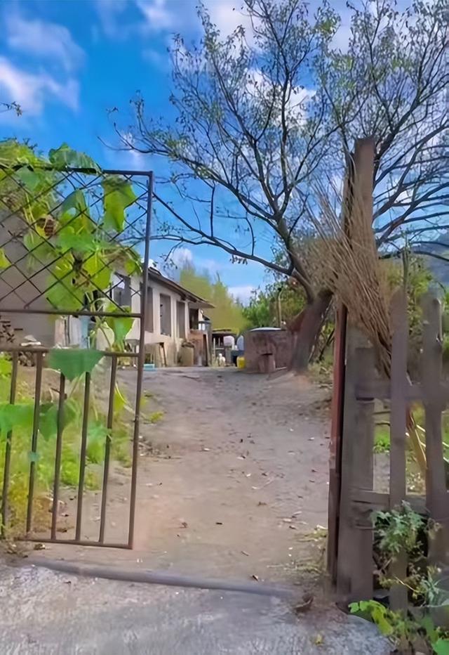 装疯卖傻，丑态百出，目不识丁，到底是谁捧红了这些跳梁小丑？