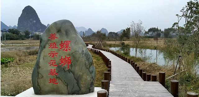 小城文旅企业崛起！传统餐馆遇挑战，街边小摊带动千亿市场
