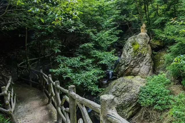 秋冬遛娃“药”新鲜!能吃能玩还能“养”,这条游玩路线一站式拿捏