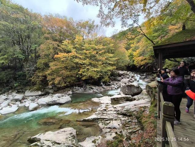 排队游览光雾山