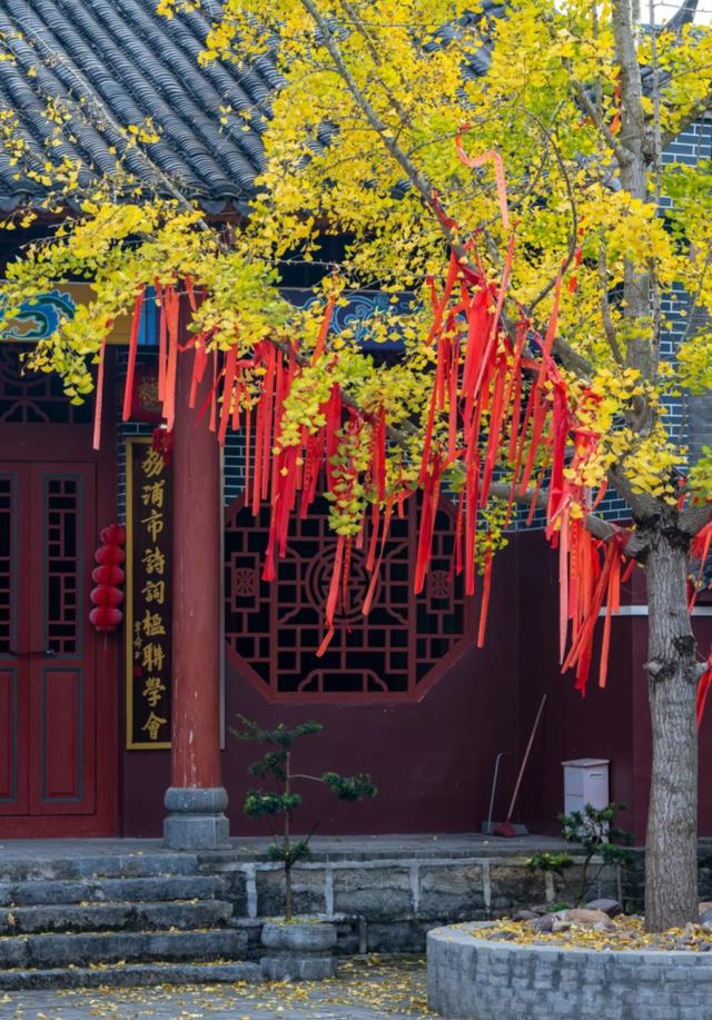 阳朔与荔浦银子岩哪个更推荐？两者都去过后，我的答案只有一个