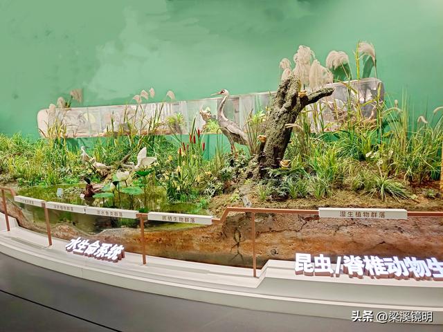 五九时节，观扬州大运河博物馆（下）