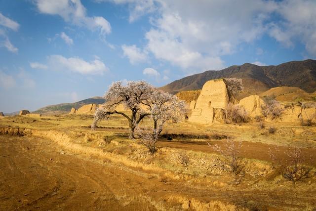 不管你信不信，女性过63岁后，基本都有如下6个现状！要坦然接受