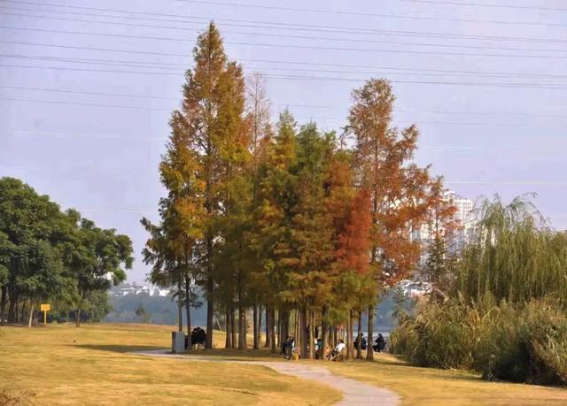 好多人都去了！金堂这个地方最近很火！