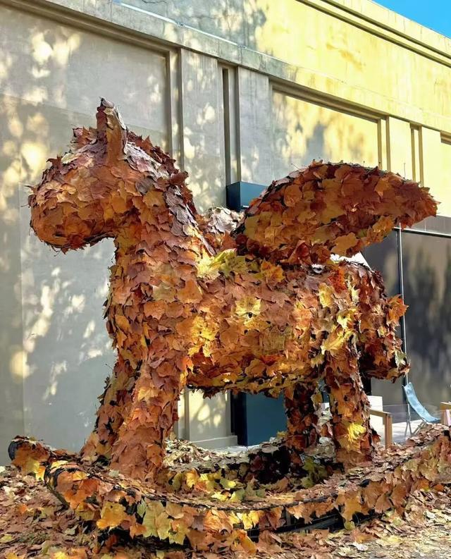 临沂元旦狂欢攻略！7小时免费跨年狂欢！山巅追光、焰火、无人机、音乐会……