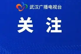 今起，武汉这些公交线路和站点有变化——图片