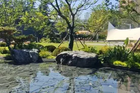 合肥二手房去化这么难，新房为什么还动辄四五万单价，答案在这！图片