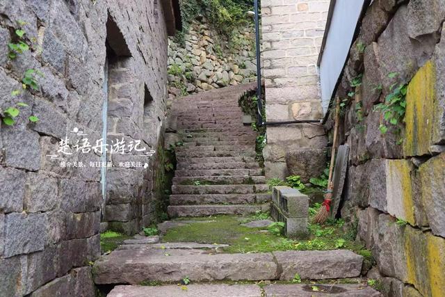 完全没想到，宁波这个以樱桃花走红的古村，秋天的风景也这么美！