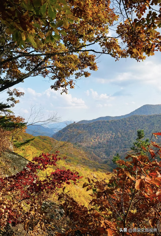 本溪：北国红枫深处的诗意秘境