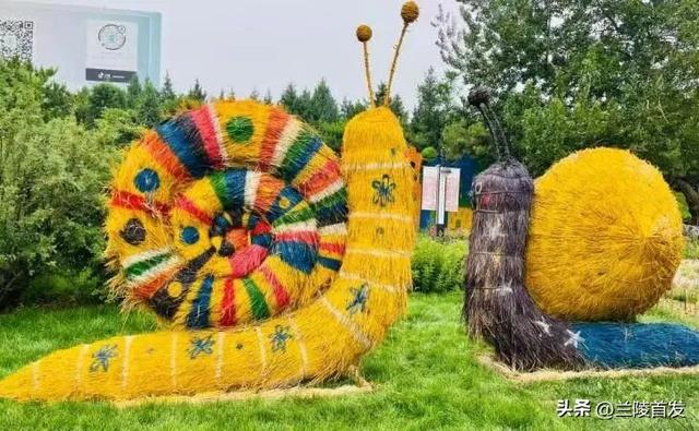 好客山东好品山东｜临沂遛娃去哪儿？初冬攻略收藏就出发～