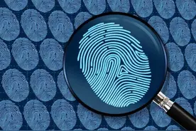 一斗穷、二斗富？人类指纹的“斗”与“簸箕”暗藏什么玄机?图片