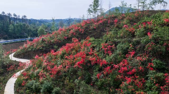看不完，根本看不完！