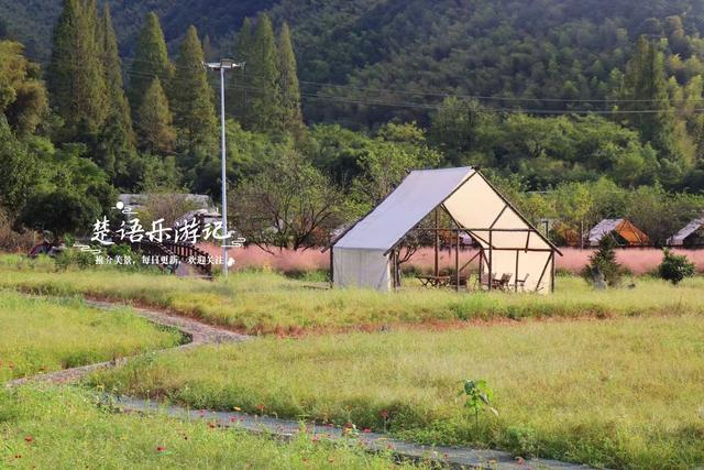 浙江宁波的山谷粉黛花海背山面溪，幽静而浪漫，周边景色更加迷人