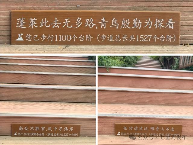 七里河好风光：这份公园游玩攻略请收好！