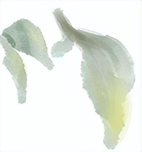 在未央，雨是历史的回响 也是生活的烟火