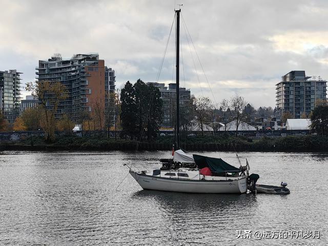 温哥华游记（六）