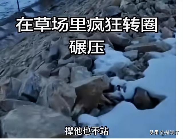 女子开车碾压草场后续：扬言撞死牧民	，真实身份被扒，公司被牵连