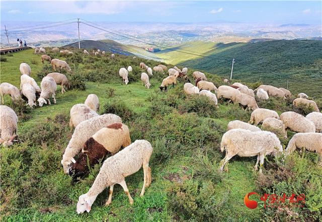 甘肃：震后交通恢复重建项目为太子山旅游大通道积石山段“强筋壮骨”