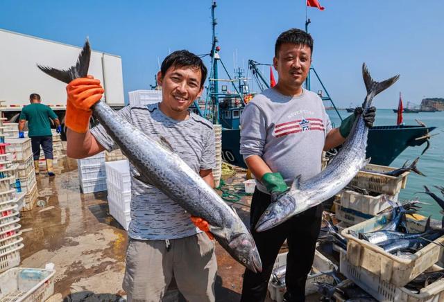 乘高铁看天鹅，还有限时景区优惠！