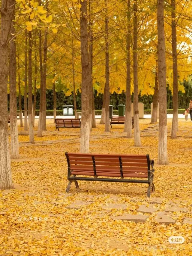 「沂蒙」叠翠映红黄——跟着色彩游临沂