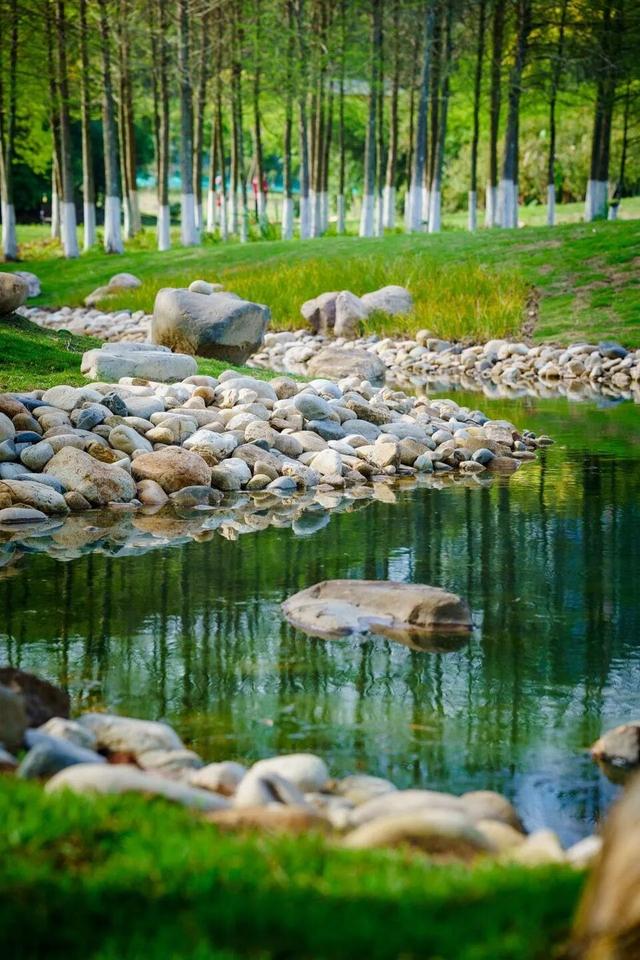 大数据懂你！当代人的治愈风吹到了三明！专属“阿勒泰”为你而来