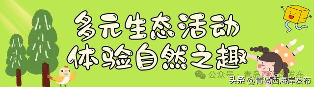 西海岸新乐园+1！就在杨家山里！