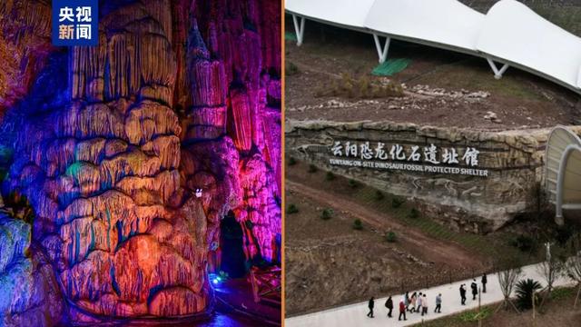 半价、免票！全国多景区官宣→