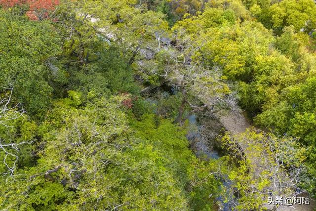 丽江的最美秋色九鼎龙潭，但位置隐秘，大部分游客都视而不见