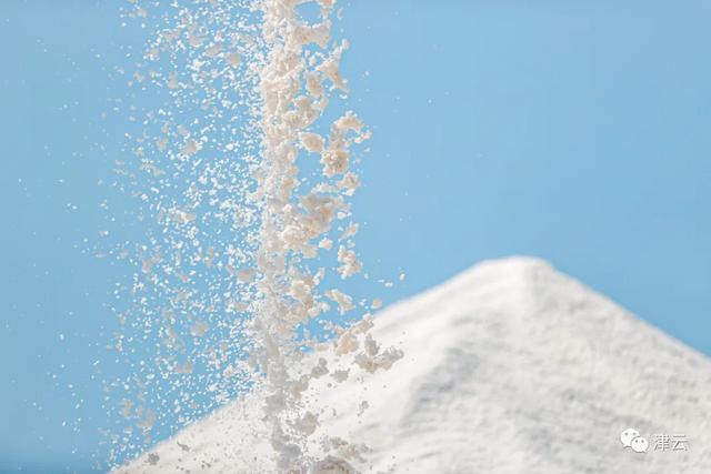 芦花千年尽飞雪