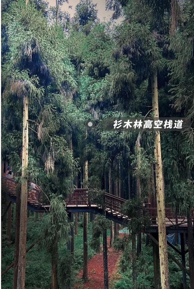 快来这里避暑~成都周边1.5h亲子避暑地，超凉爽超好玩！