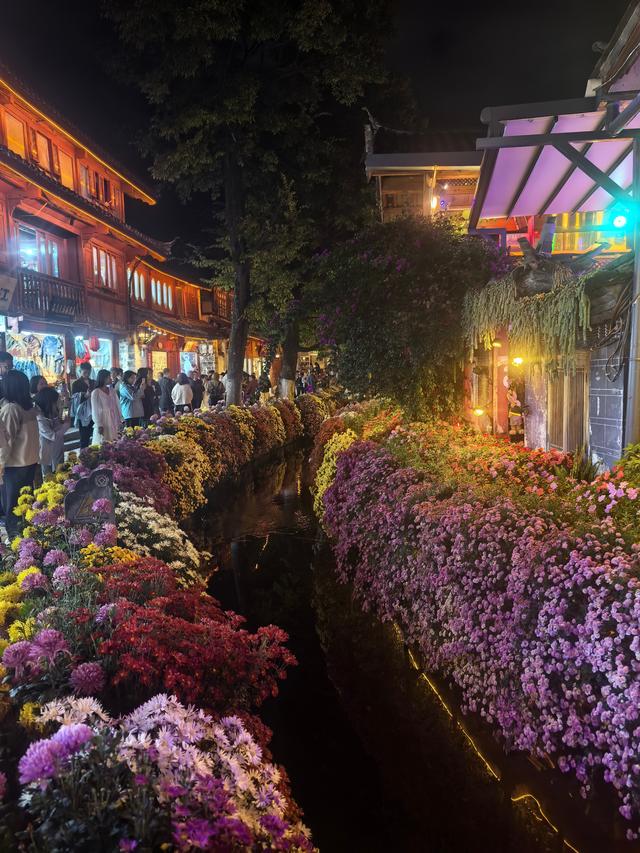 《七律·夜登丽江古城万古楼》