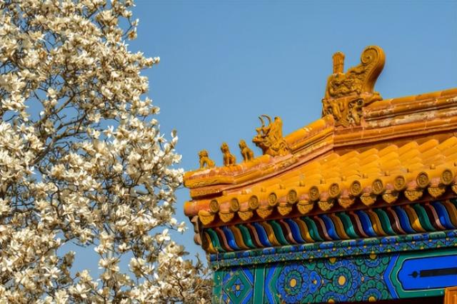 北京秋韵看地坛，网红打卡外有深意，老园子里的时光密码