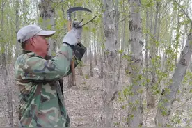 承包荒山种树20年因修路部分林地被占，村民称1平方米退7分钱不合理，村支书：会按法院判决执行图片