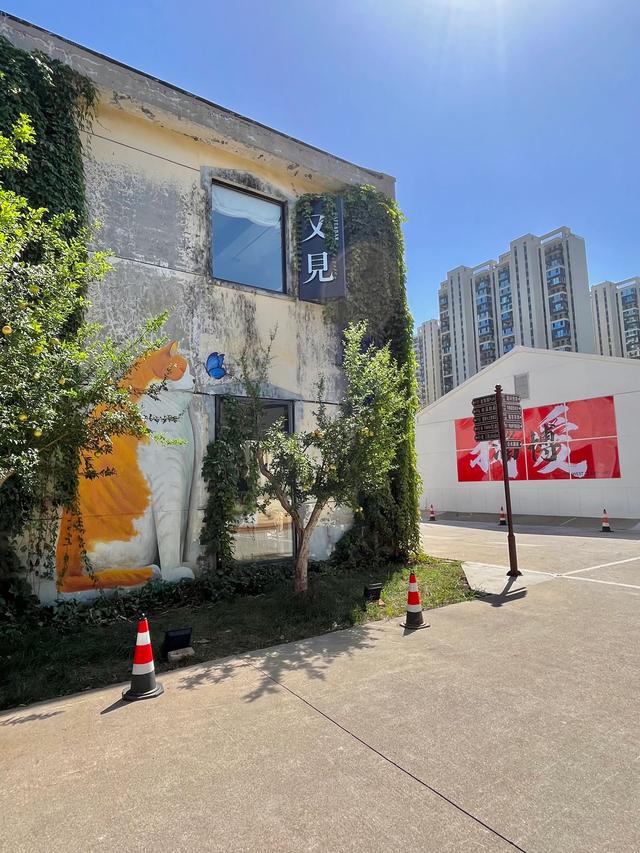 11月29日至30日，即将启幕！就在张店这里！