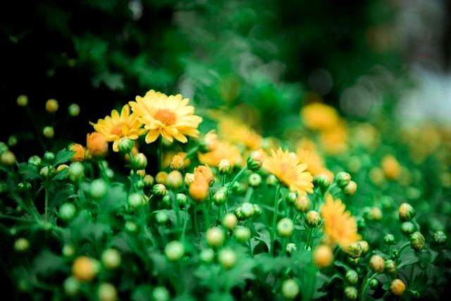 我发现了拯救焦虑情绪的好方法！一定要走出去