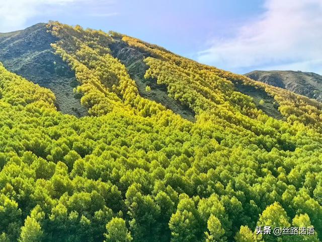 图集丨秋色斑斓 步入绿野仙踪的秘境——焉支山
