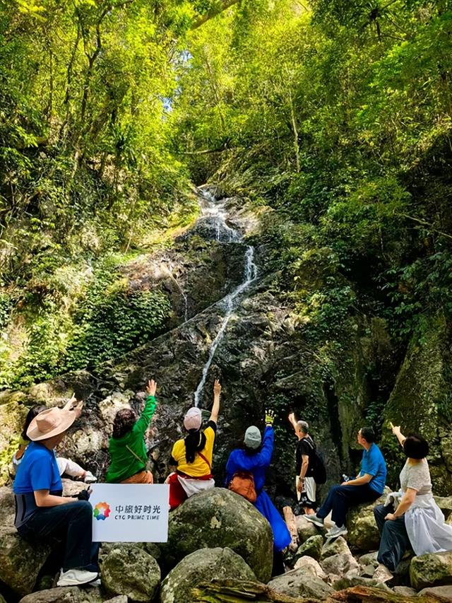 央企入局，银发康养旅游2026进入黄金赛道