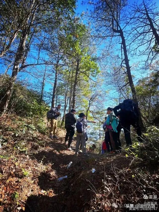 醉美林坑晒秋!这条连接两个避世古村落的省一级古道,周末可走起