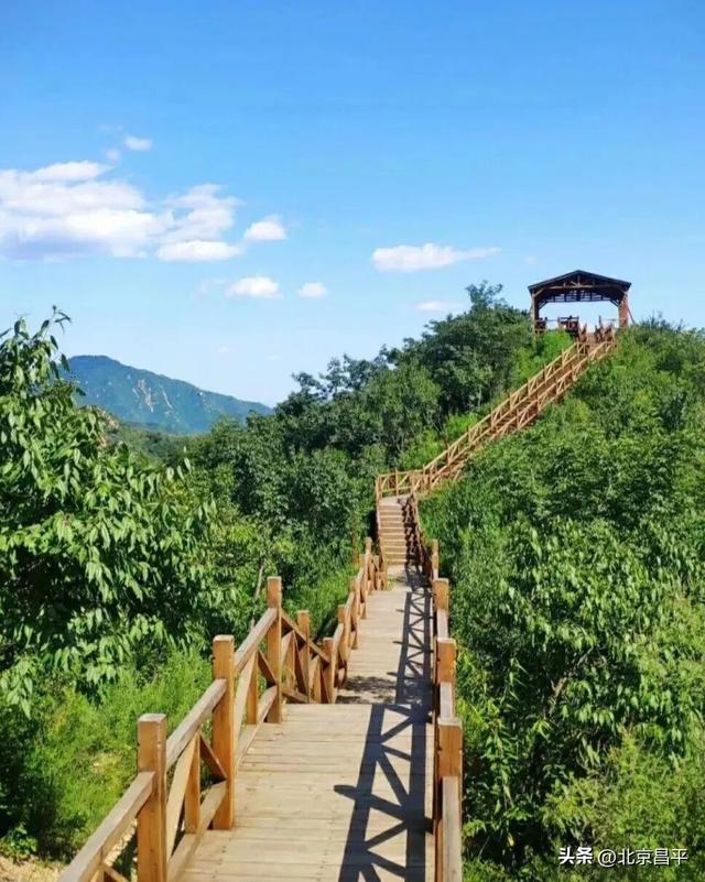 期盼已久！大岭沟猕猴桃谷风景区即将开园！