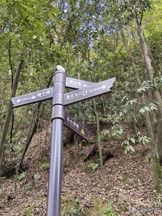 户外徒步之挑战缙云九峰，从健身梯道到狮子峰，走了四小时