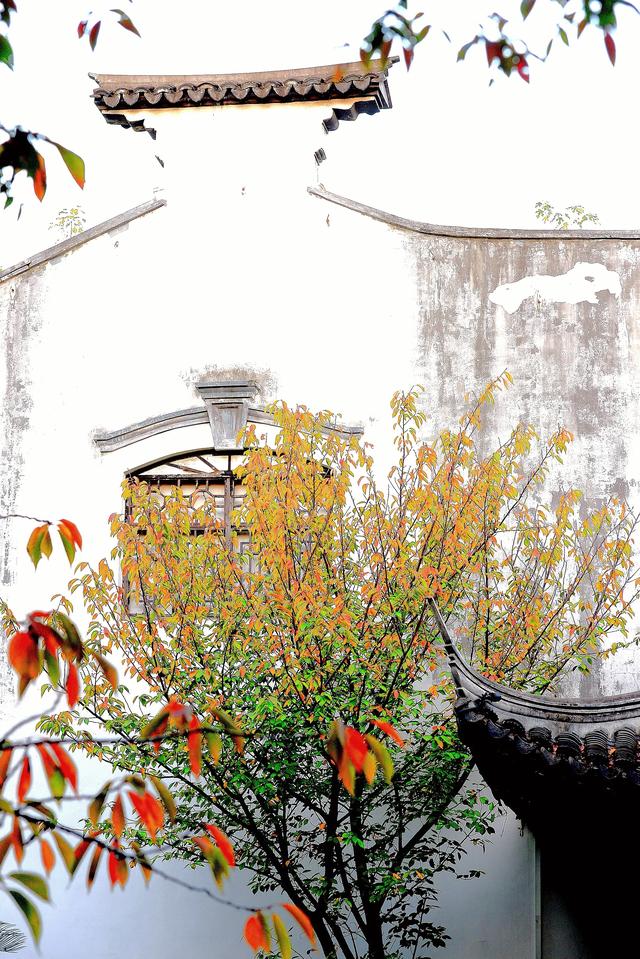 大公图书馆丨秋日里的诗意庭园