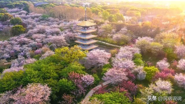 看过来！跟着这些美食游武汉。