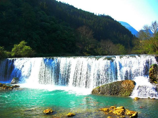 带着孙女去旅行（168）罗平油菜花海游