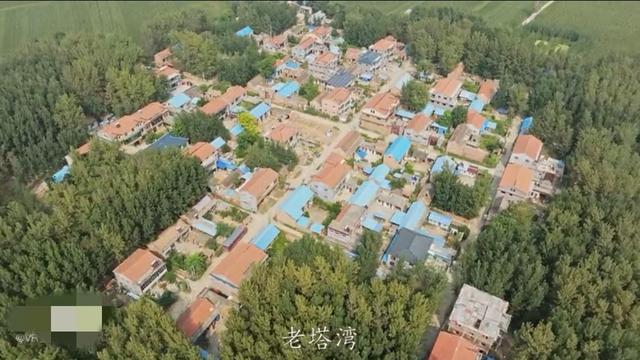 魅力曹县楼庄镇