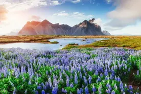 一种玄学：戾气越重，心力越差（深度）图片