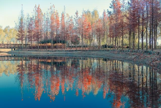 郑州秋日旅行天花板！这4个市内秋游美到难忘，最后一个印象深刻